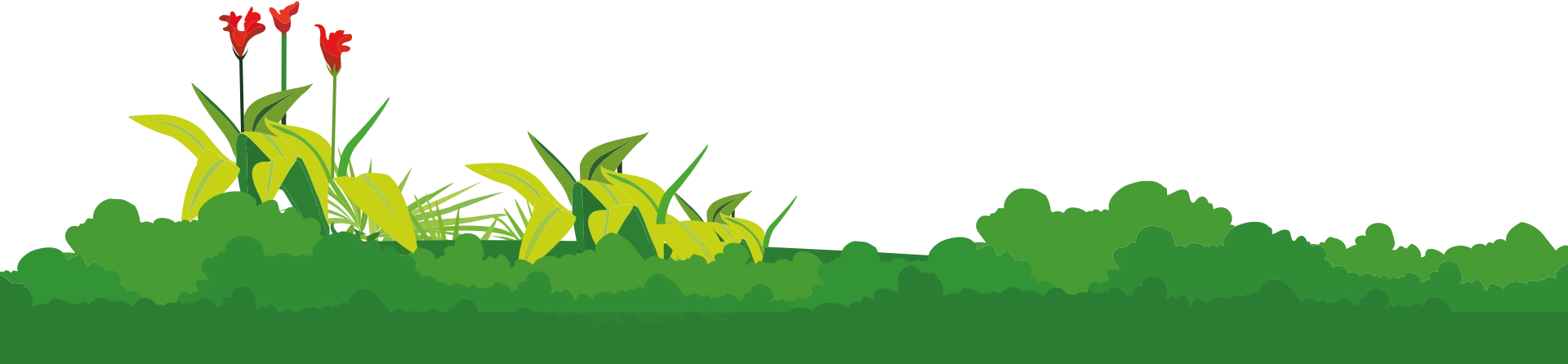 Decorative line design used for visual separation or enhancement in educational content.