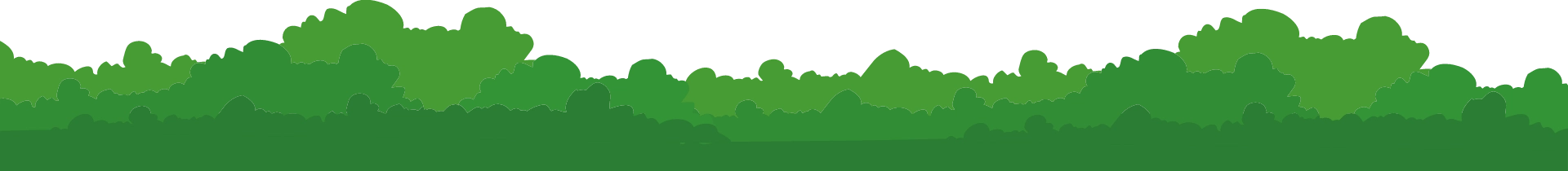 Background image symbolizing the foundation’s ongoing commitment to sustainable growth and positive change.