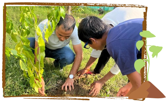 Volunteers planting a sapling during a tree plantation drive, promoting environmental sustainability with Atulya Foundation.